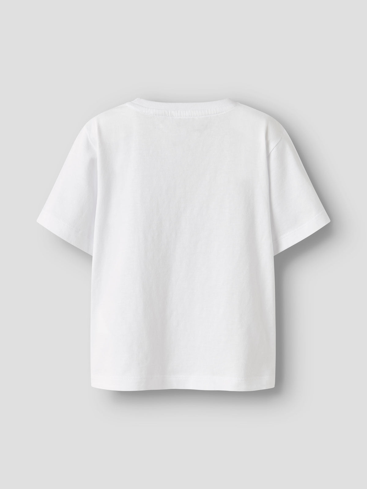 Name it T-Shirt mit Dinoprint