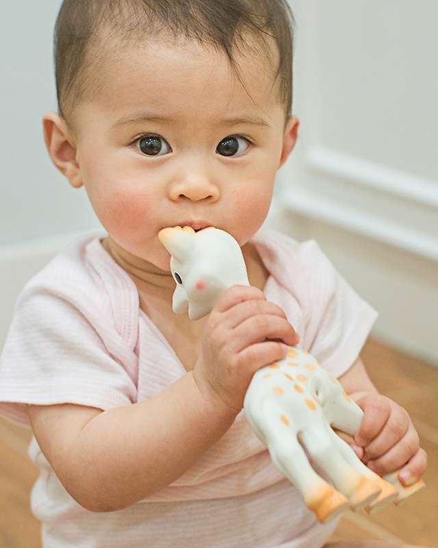 Sophie la girafe® mit Beißring Sophie la girafe® (Fotowettbewerb) / Naturkautschuk