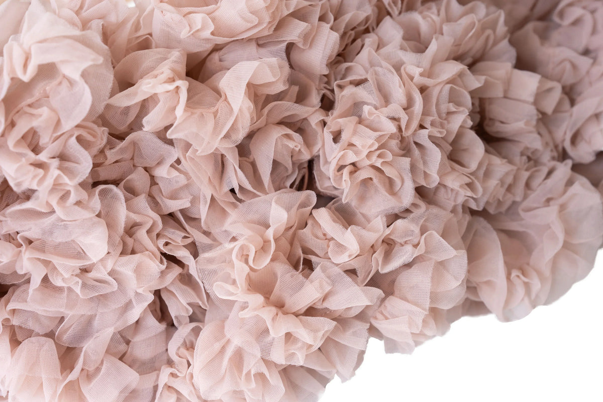 Billy loves Audrey Tutu Rock Maybelle in Lotus
