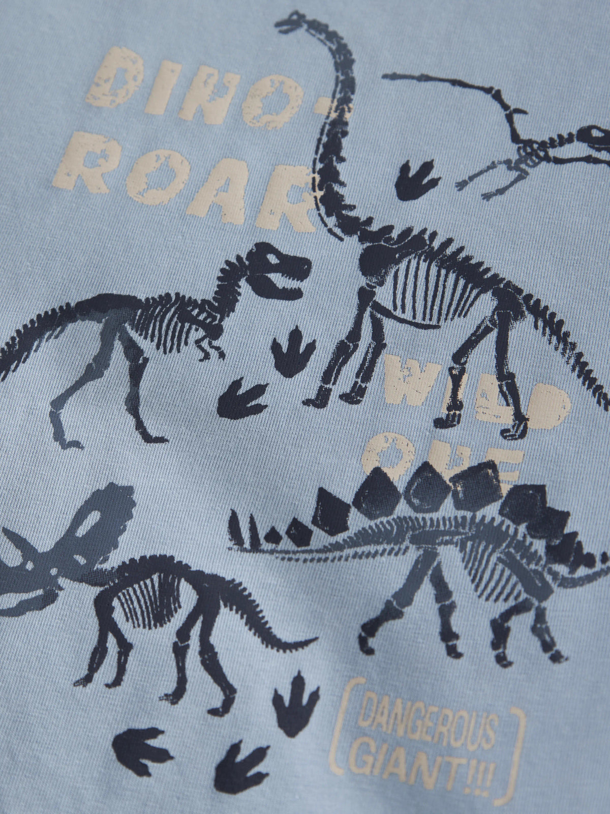 Name it T-Shirt mit Dinoprint