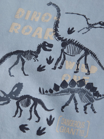 Name it T-Shirt mit Dinoprint