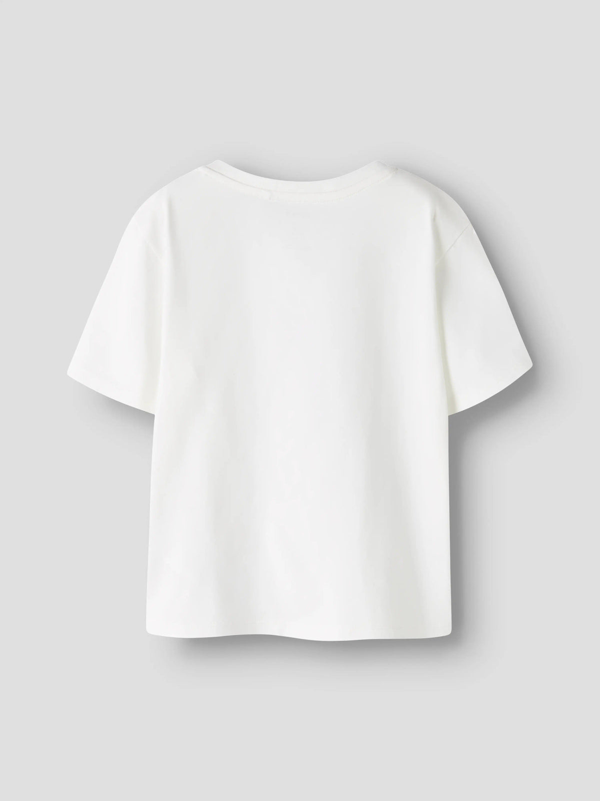 Name it T-Shirt mit Dinoprint