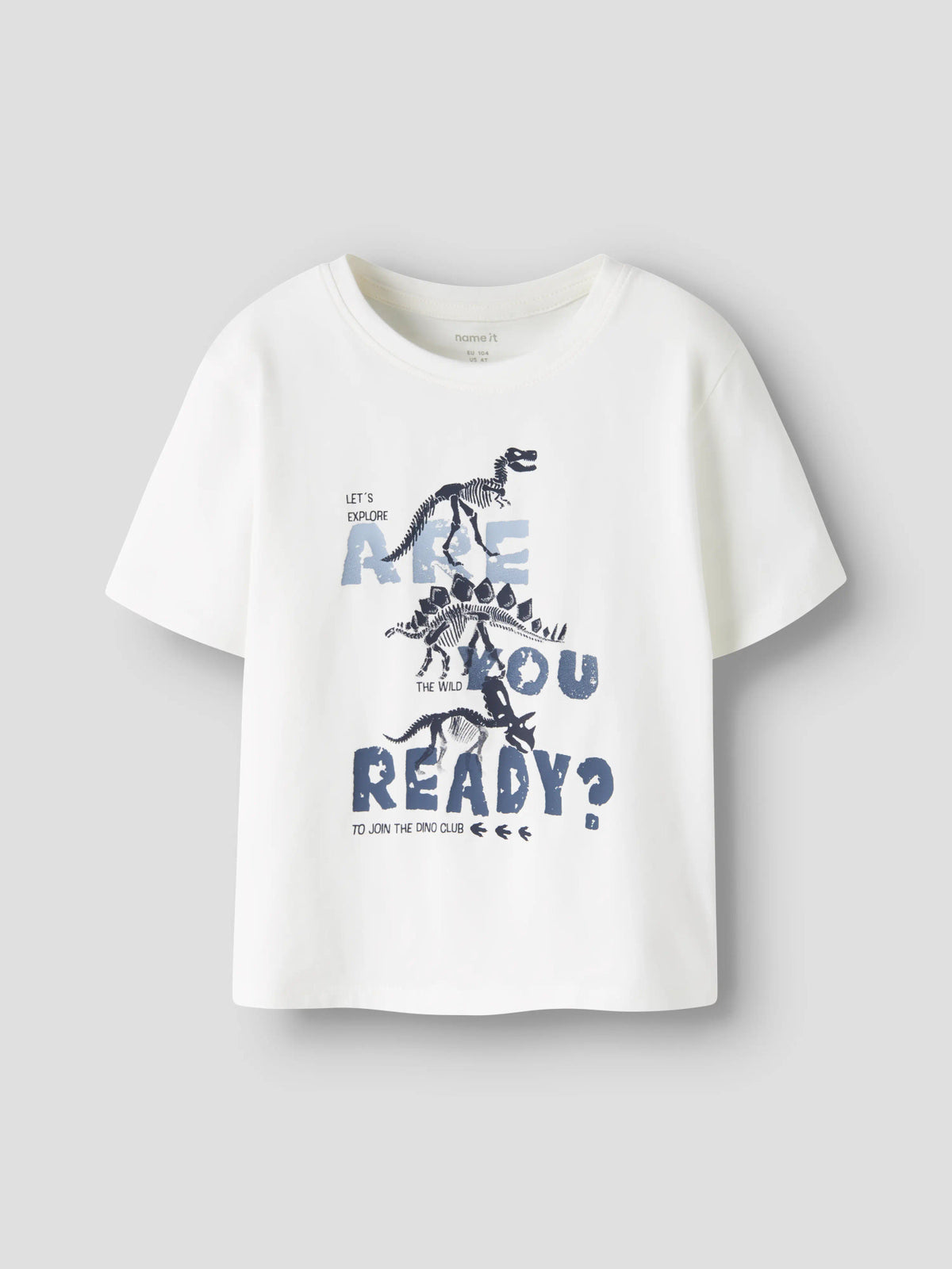 Name it T-Shirt mit Dinoprint