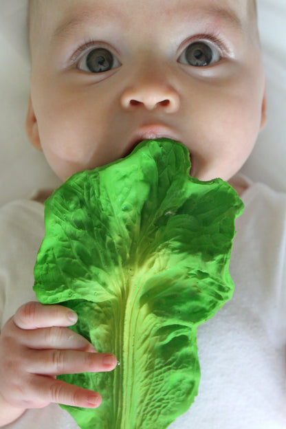 Oli & Carol Beißspielzeug - Salatblatt  Kendall the Kale